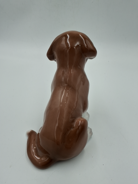 RC Hund 1926